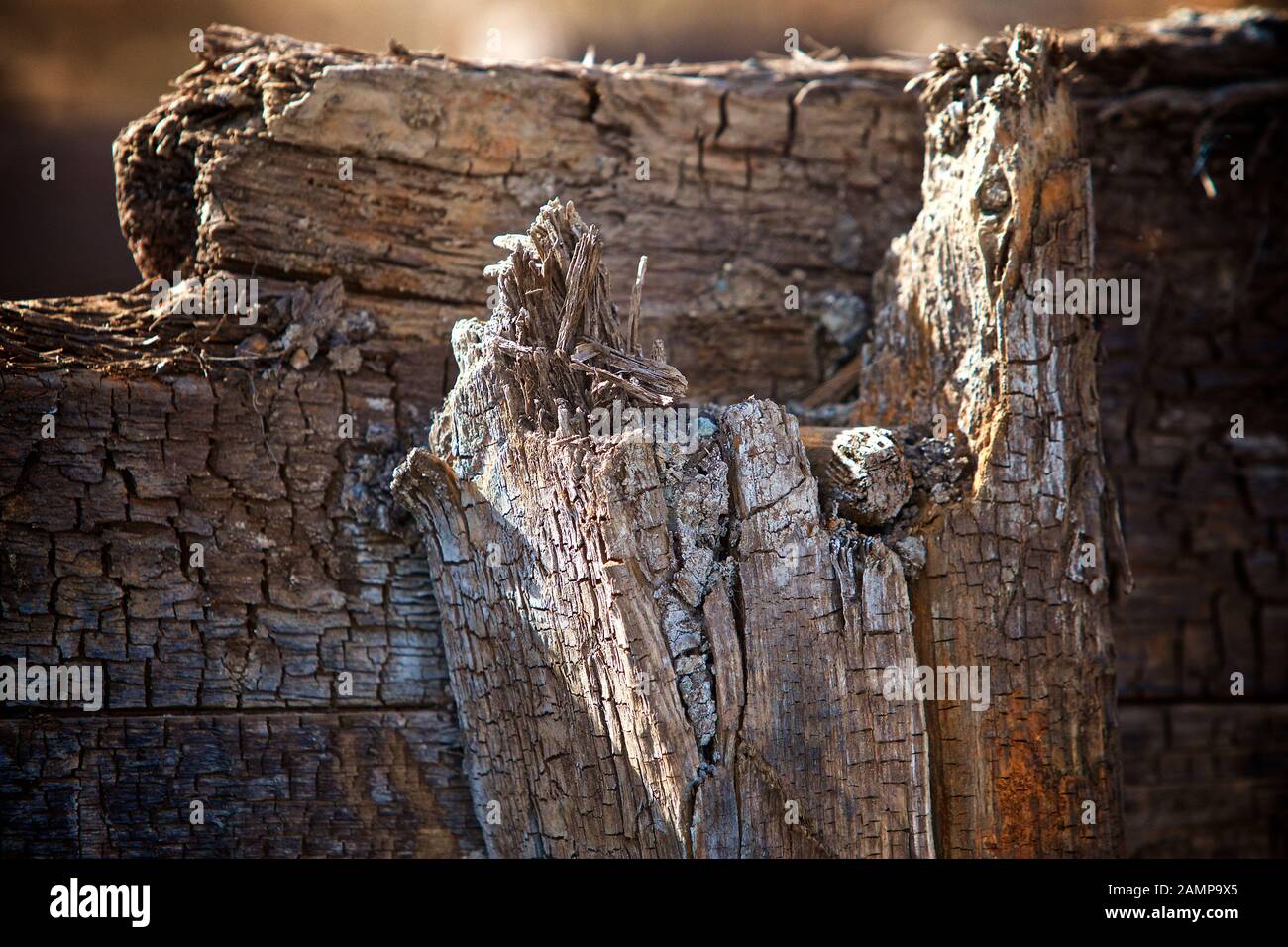 Design element wood texture hi-res stock photography and images - Alamy