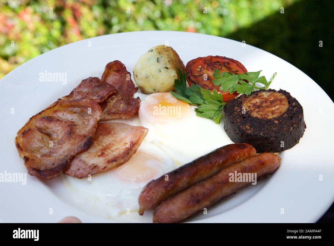 A full Irish breakfast consisting of bacon, egg, sausage, black pudding and grilled tomato. Stock Photo