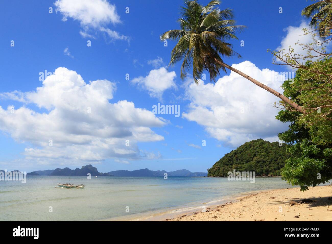 Leaning palm trees of Las Cabanas beach in El Nido, Palawan island, Philippines. Stock Photo