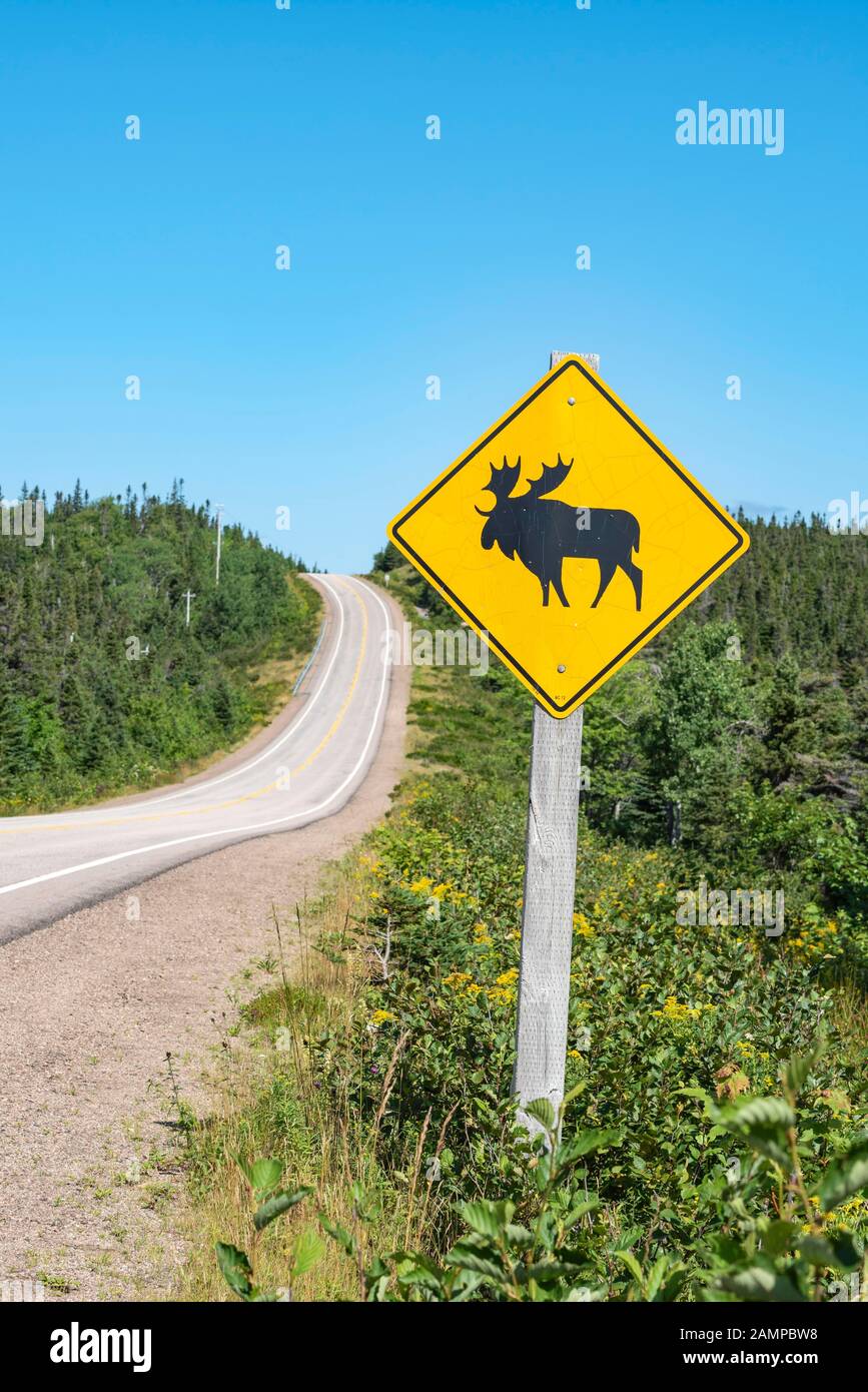 Road sign warns of crossing moose, Cabot Trail, Cape Breton Highlands