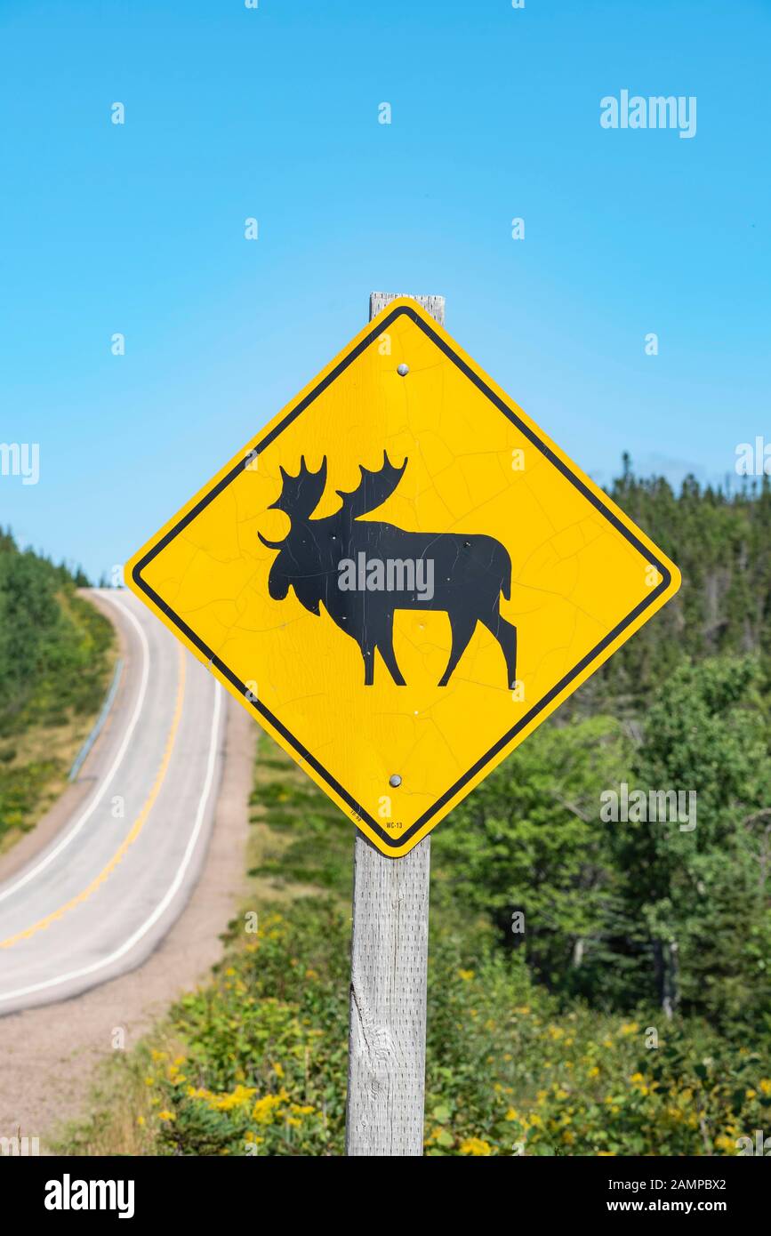 Road sign warns of crossing moose, Cabot Trail, Cape Breton Highlands National Park, Nova Scotia, Canada Stock Photo