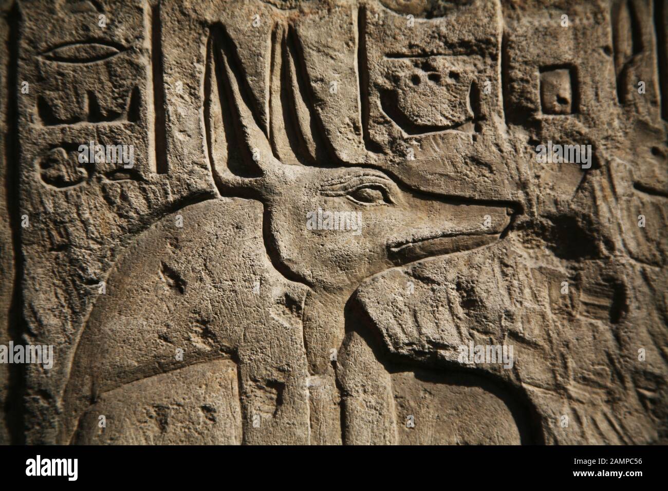 Anubis Hieroglyph Egypt Stock Photo