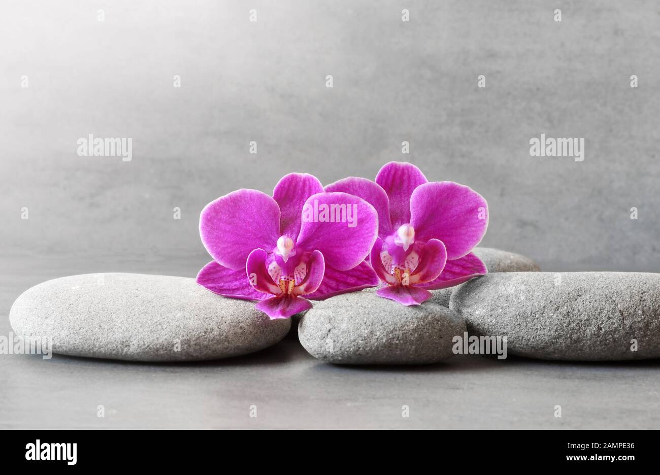 Spa stones and orchid flower on the grey background. Stock Photo