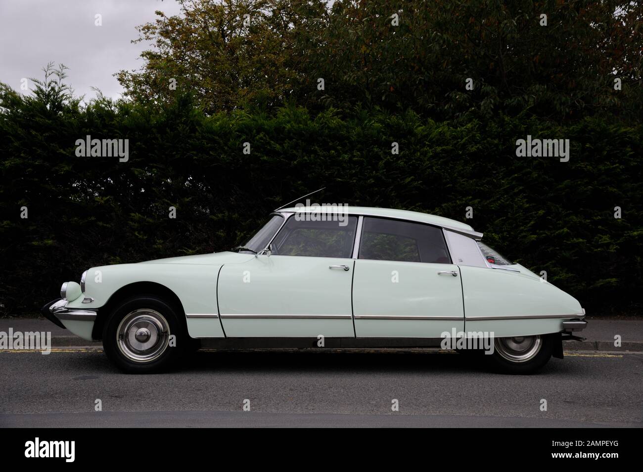 Citroen DS Pallas parked on hedge-lined road Stock Photo