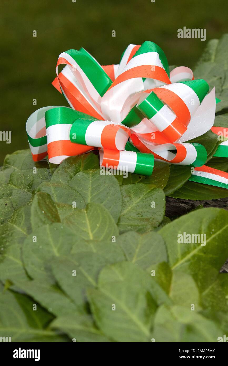 Close up of a commemorative laurel wreath with an Irish tricolour ribbon. Stock Photo