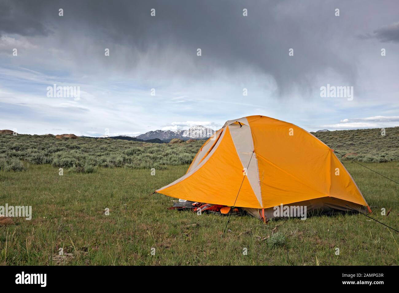 .WYOMING - High elevation dispersed campsite along the forest road with view of the Wind River Range from the Great Divide Mountain Bike Route. Stock Photo