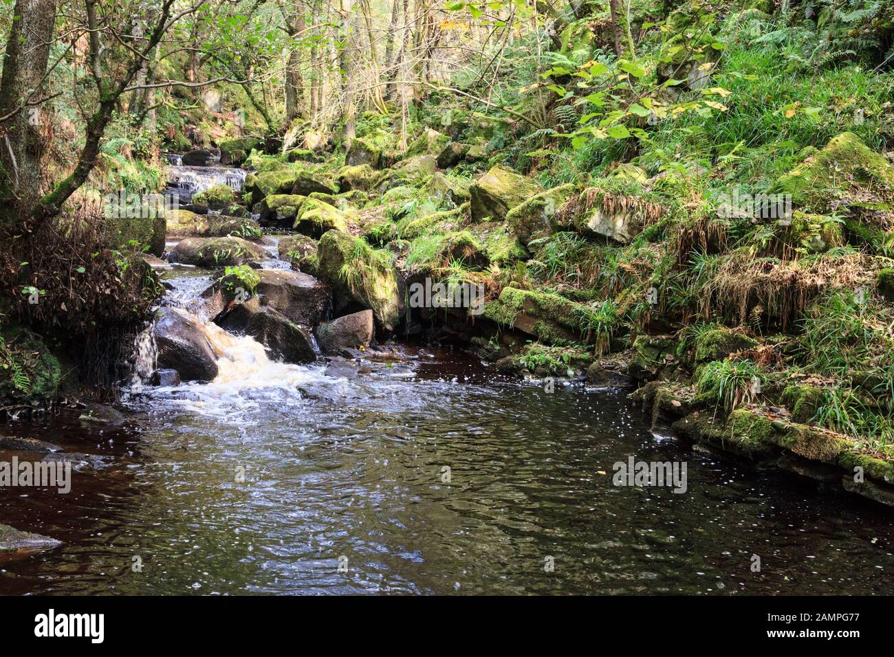 Burbage Brook, Padley Gorge, Derbyshire, Peak District National Park, England, UK Stock Photo