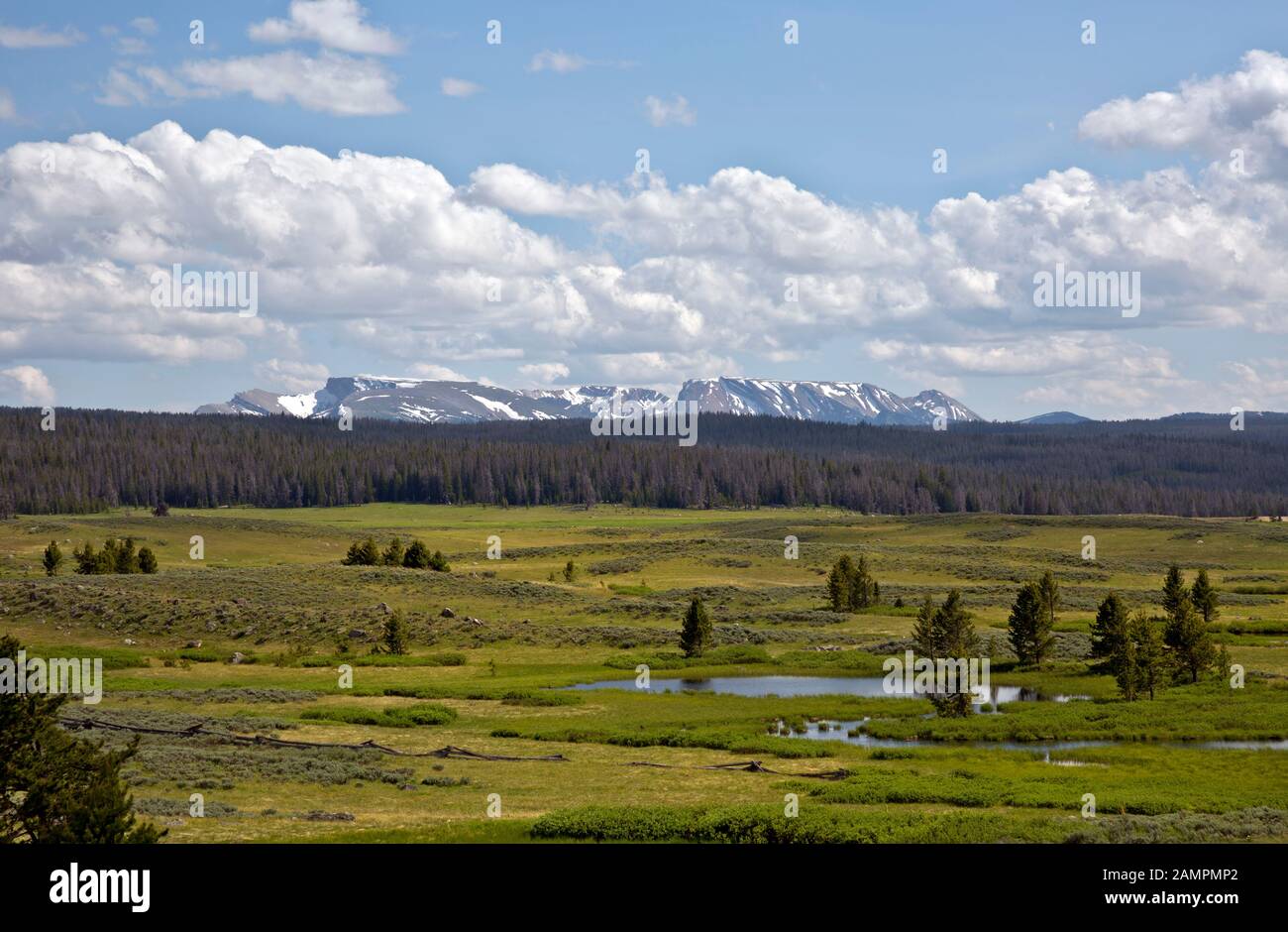 WY03971-00...WYOMING - View of open meadow and lakes as well as the Wind River Range from 9,210 foot Union Pass located on the Continental Divide. Stock Photo