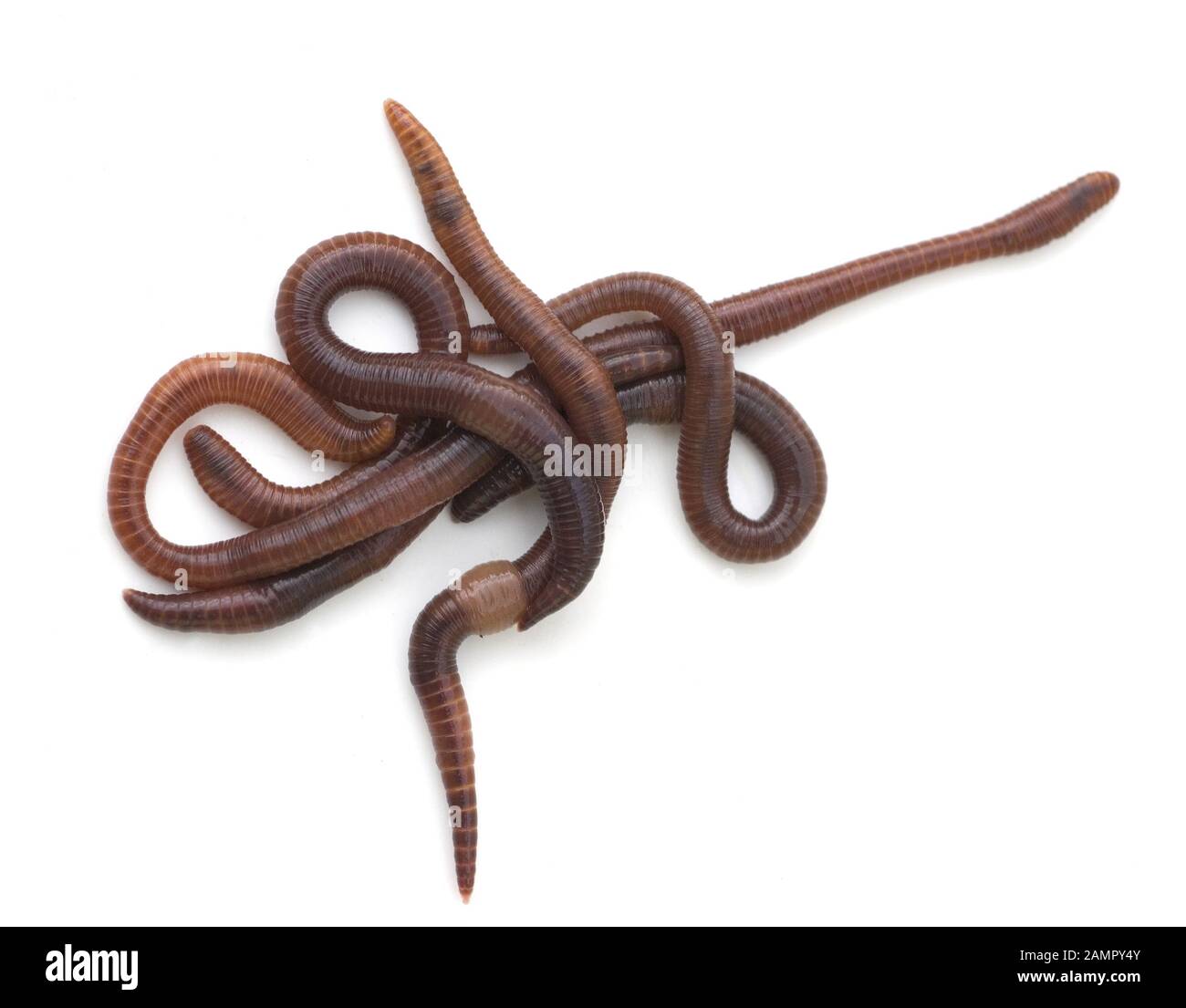 Unter Der Erde High Resolution Stock Photography and Images - Alamy