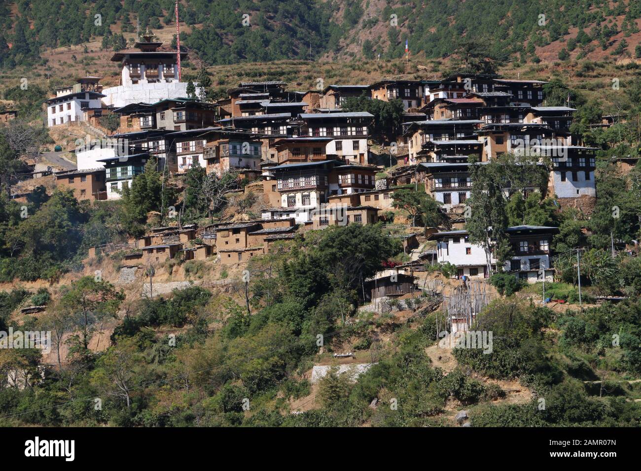 Nucleated Settlement