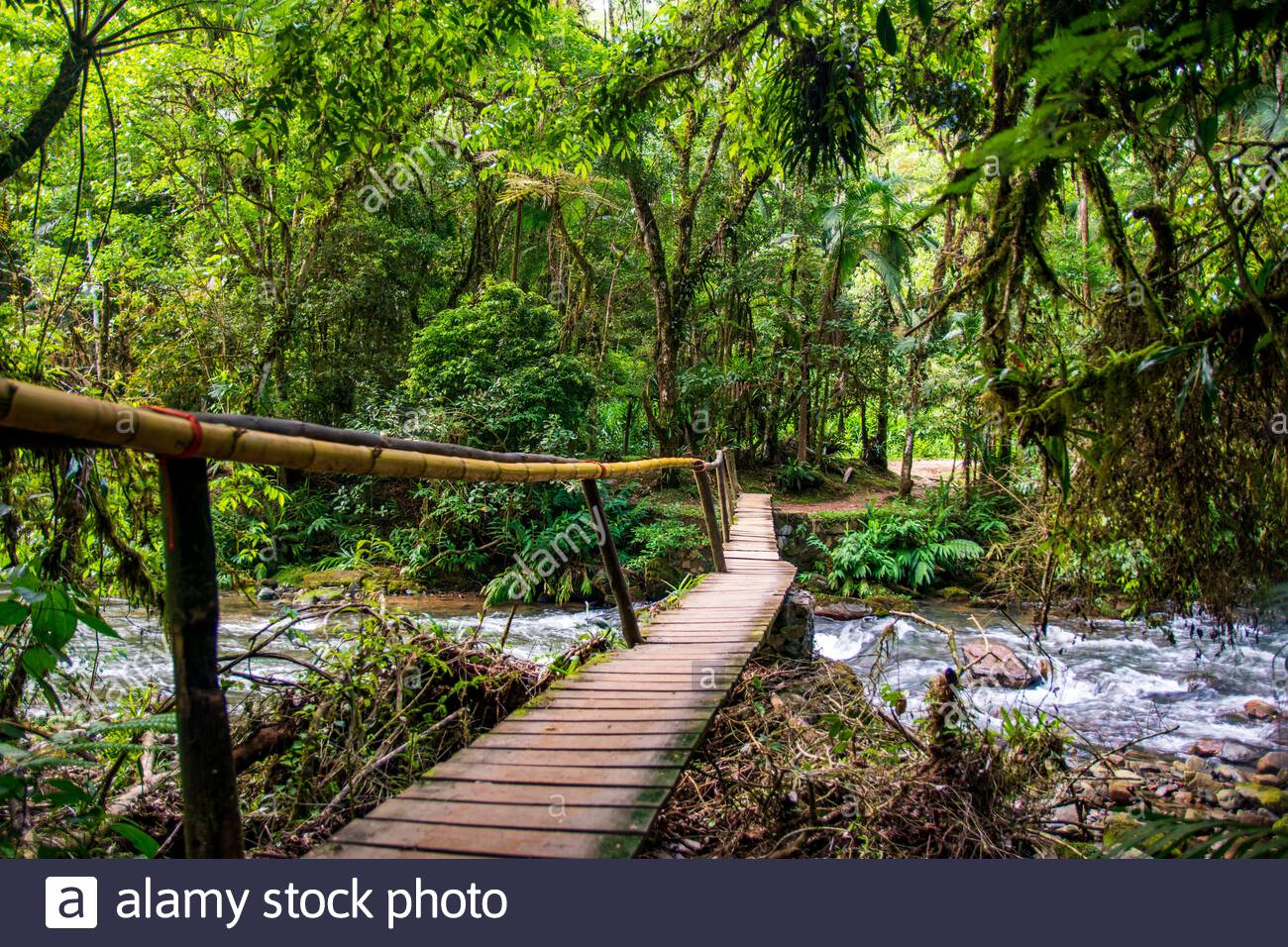 Iporanga São Paulo fonte: c8.alamy.com