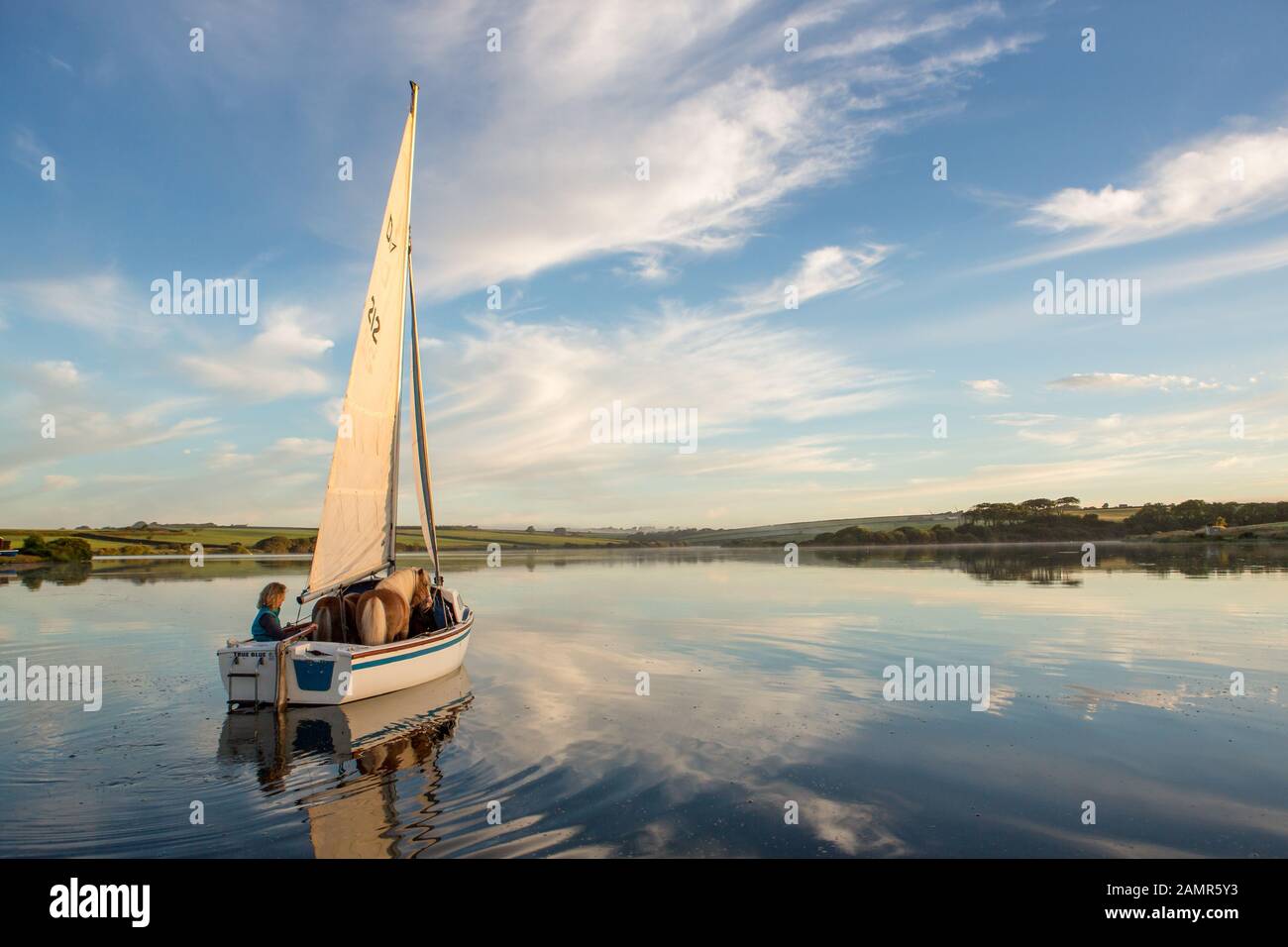 Emma Massingale with Albert and Ernie Sailing Stock Photo Alamy