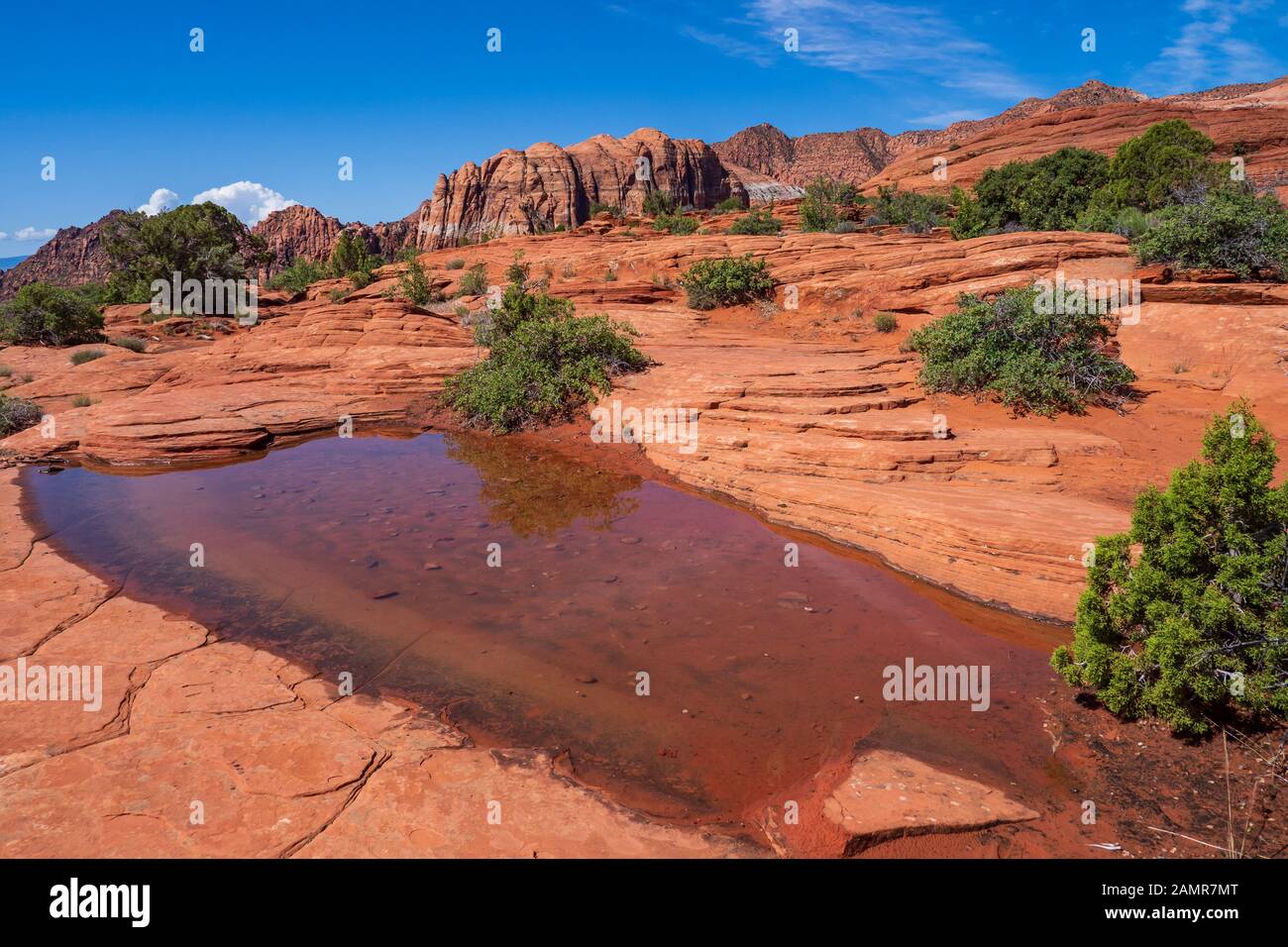 Pothole filled with water, Petrified Dunes, Snow Canyon State Park, Saint George, Utah. Stock Photo