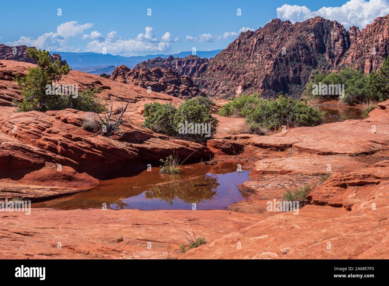 Pothole filled with water, Petrified Dunes, Snow Canyon State Park, Saint George, Utah. Stock Photo