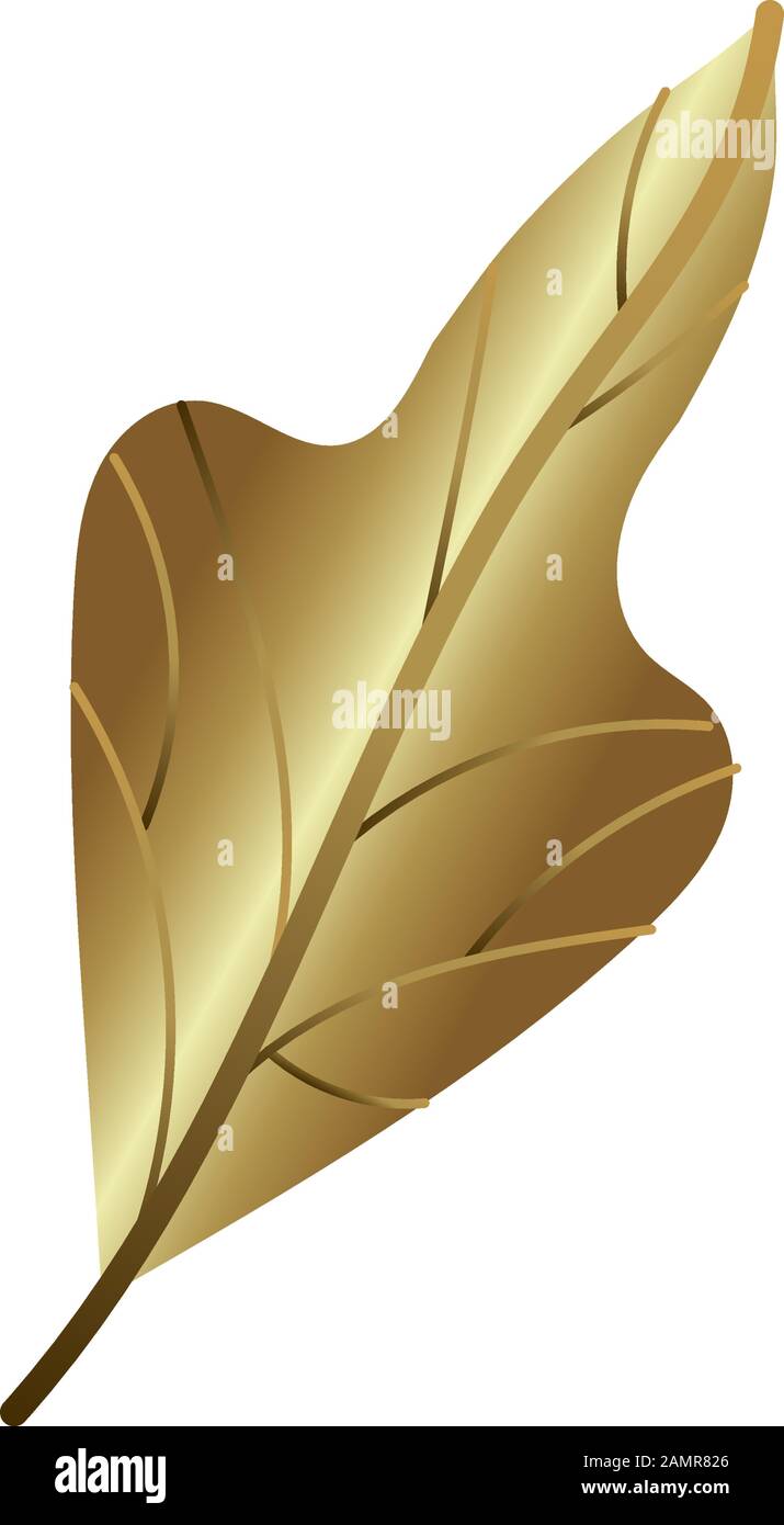 leaf plant nature golden decoration Stock Vector Image & Art - Alamy