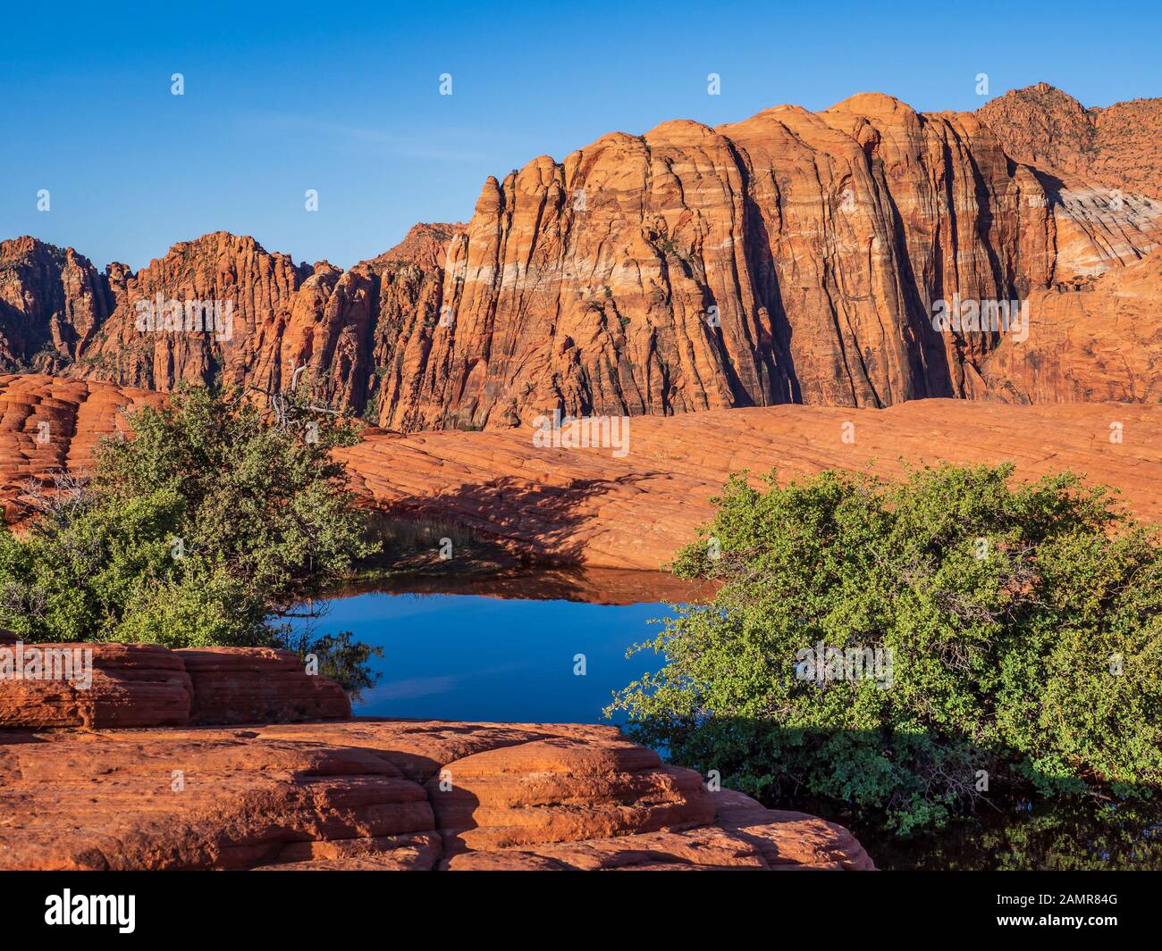Water-filled pothole, Petrified Dunes, Snow Canyon State Park, Saint ...
