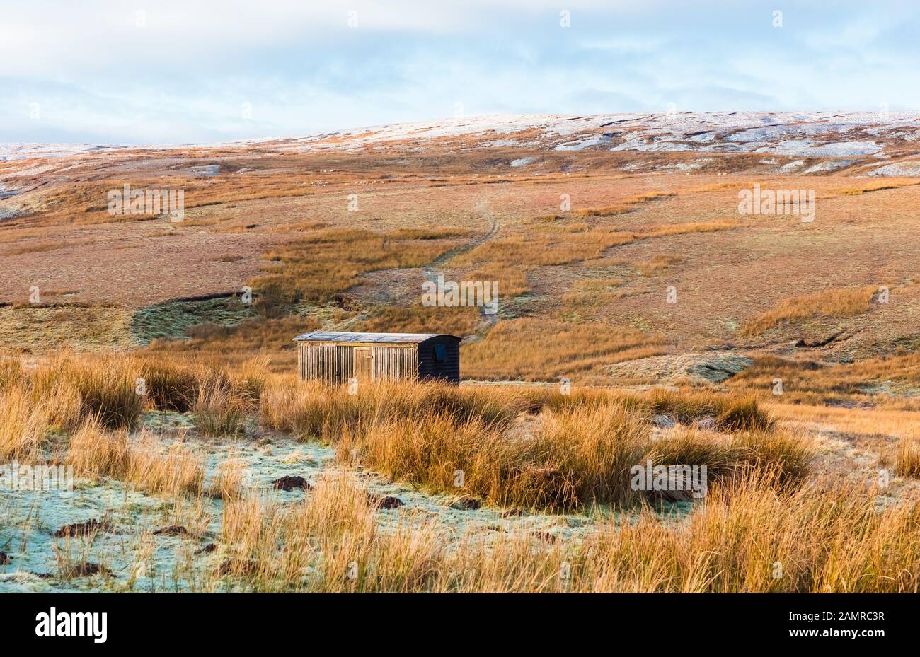 Shepherd's Hut in remote and isolated moorland during winter. Tan Hill, Keld, Yorkshire.  Sheep grazing on steep hillside. Horizontal. Space for copy. Stock Photo