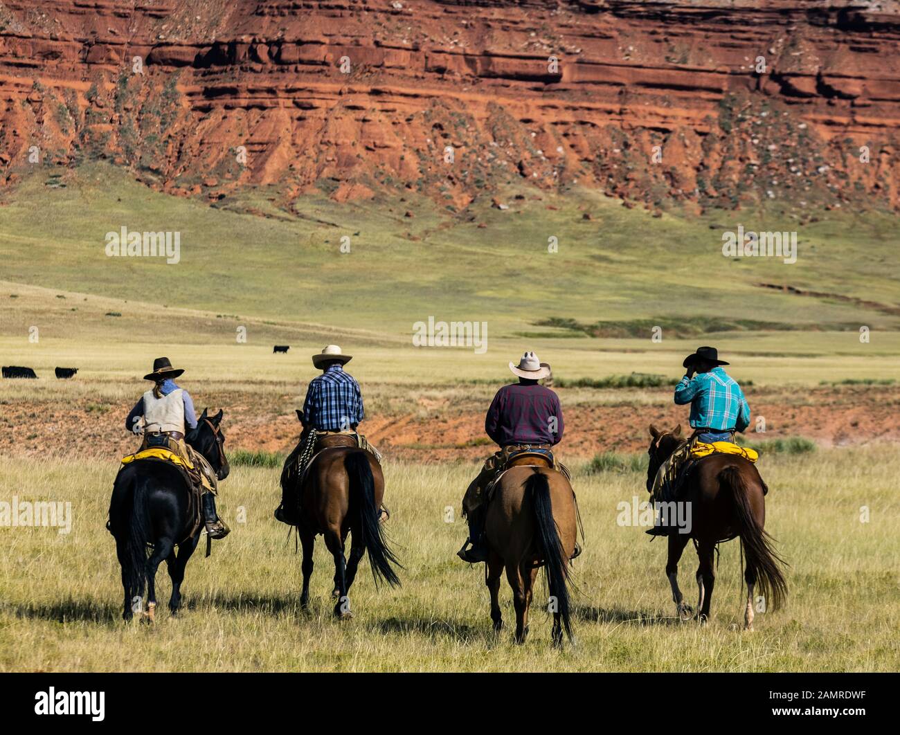 WY04093-00...WYOMING - Cowgirl and cowboys on the Williow Creek Ranch Stock Photo