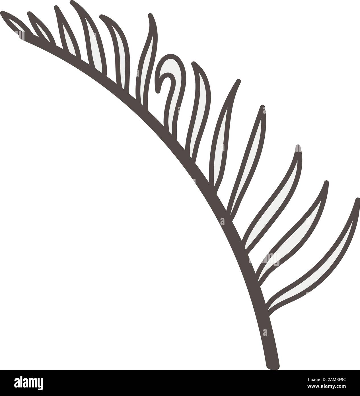 tropical leaf palm natural icon Stock Vector Image & Art - Alamy