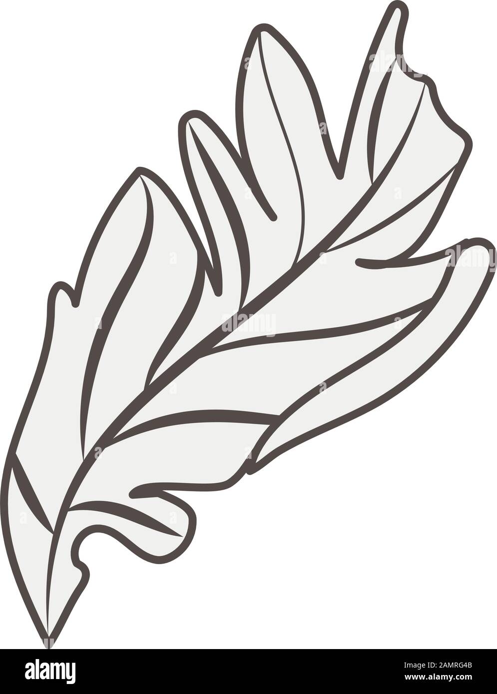 leaf plant nature isolated icon Stock Vector Image & Art - Alamy