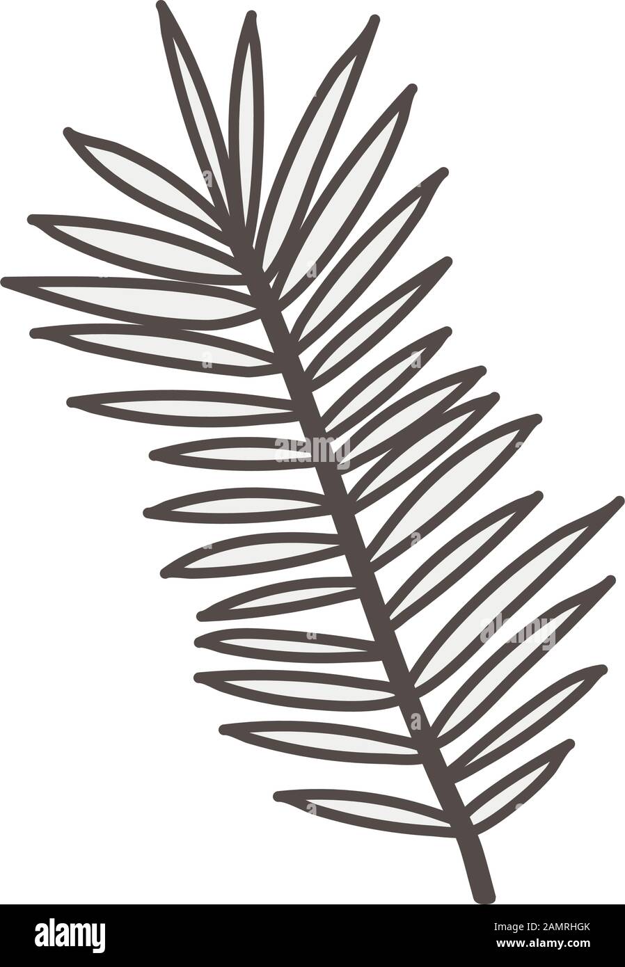 tropical leaf palm natural icon Stock Vector Image & Art - Alamy