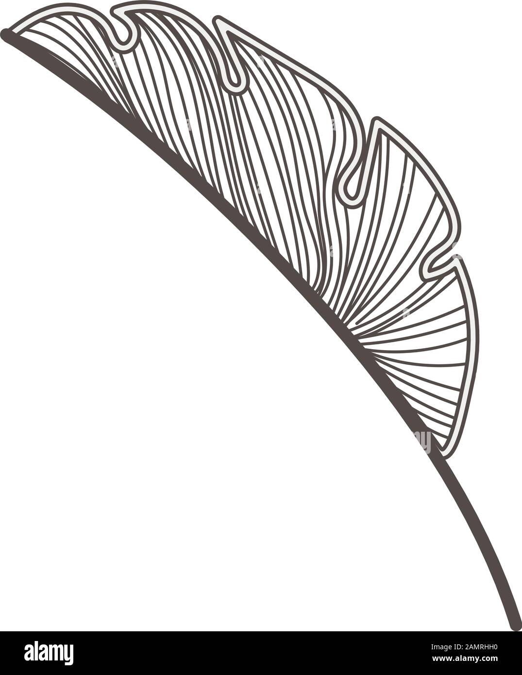 tropical leaf palm natural icon Stock Vector Image & Art - Alamy
