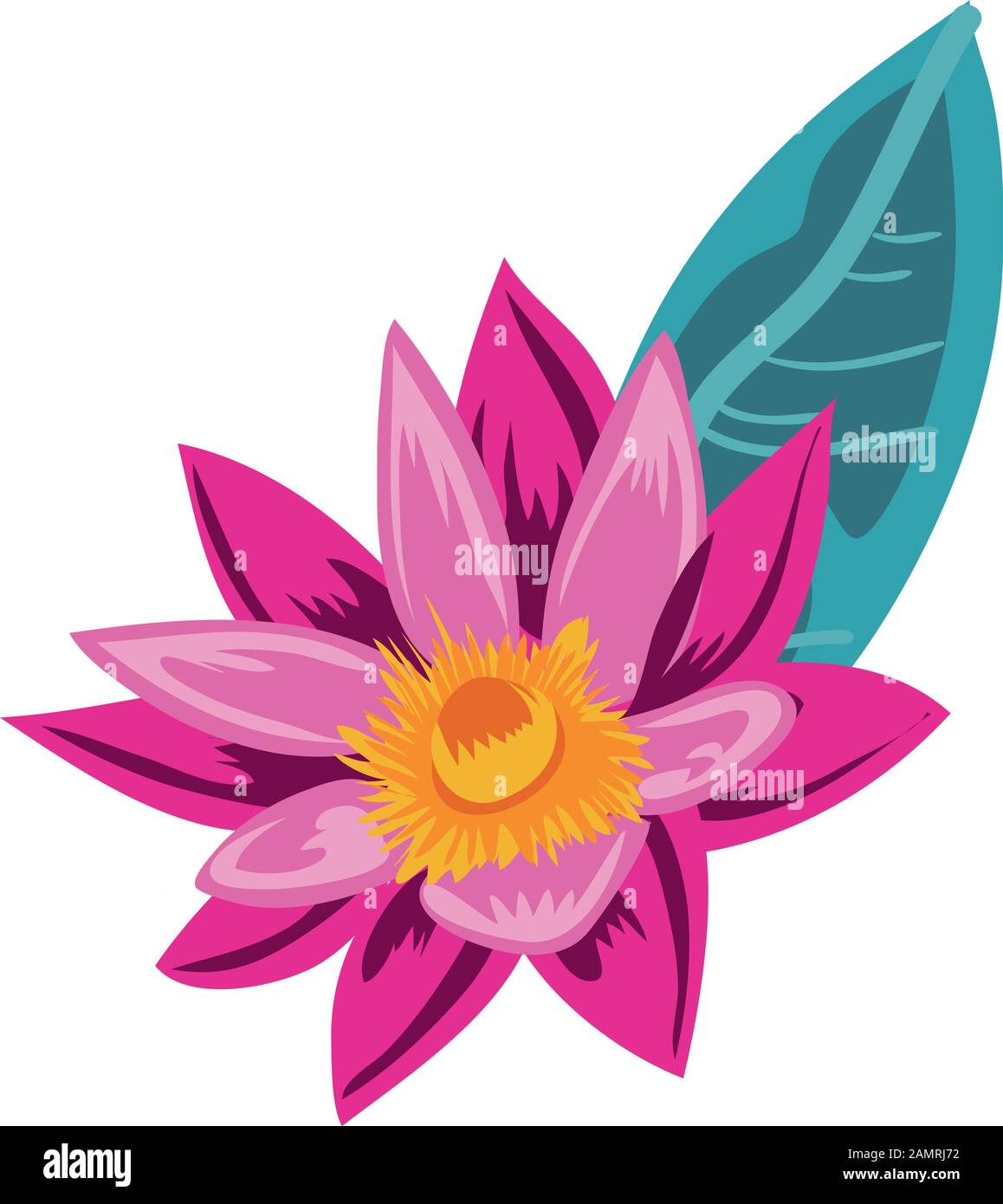 beautiful and tropical flower with leaf plant Stock Vector Image & Art ...