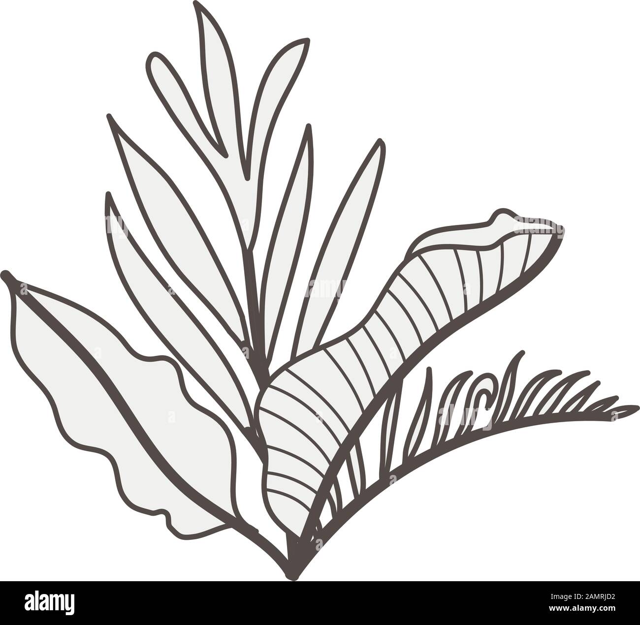 tropical heliconia and leafs exotic plant Stock Vector Image & Art - Alamy