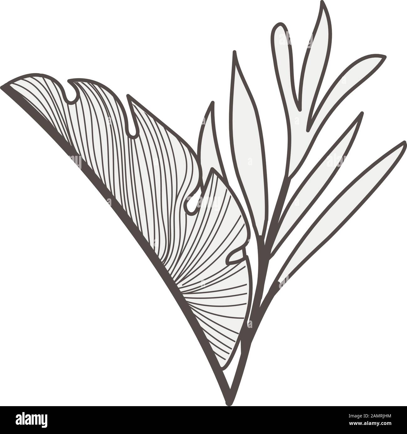 tropical heliconia and leafs exotic plant Stock Vector Image & Art - Alamy
