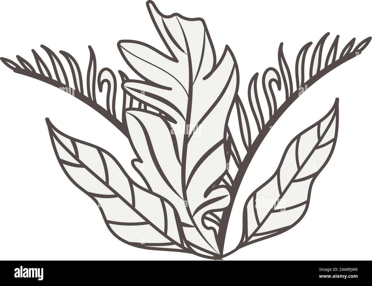 tropical leafs palms natural icons Stock Vector Image & Art - Alamy