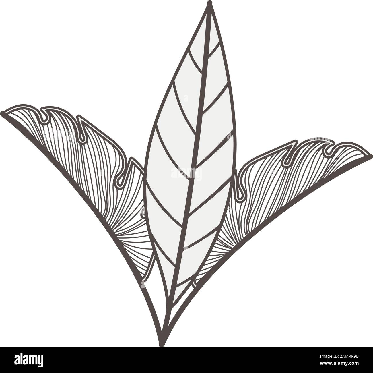 tropical leafs palms natural icons Stock Vector Image & Art - Alamy