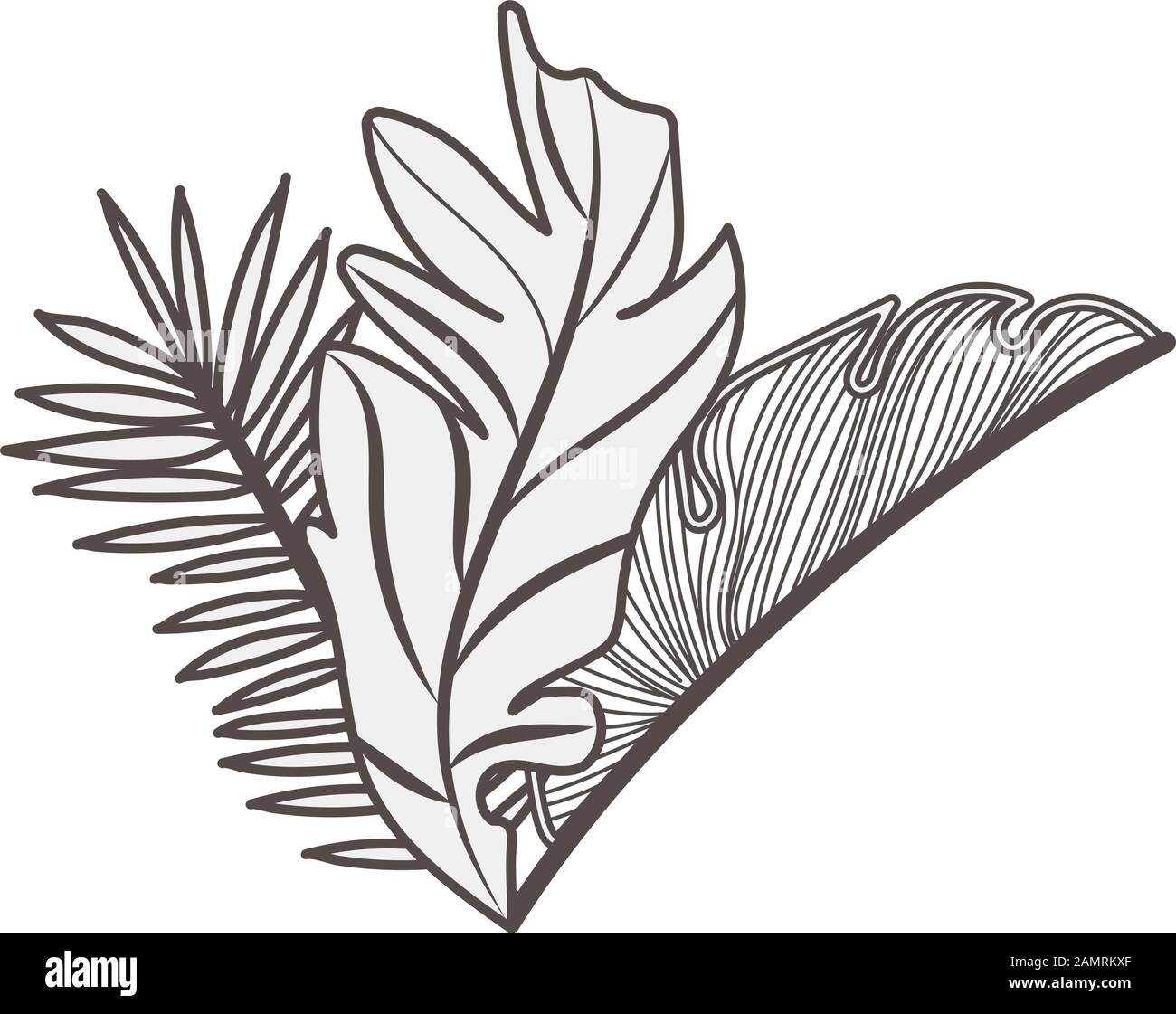 tropical leafs palms natural icons Stock Vector Image & Art - Alamy