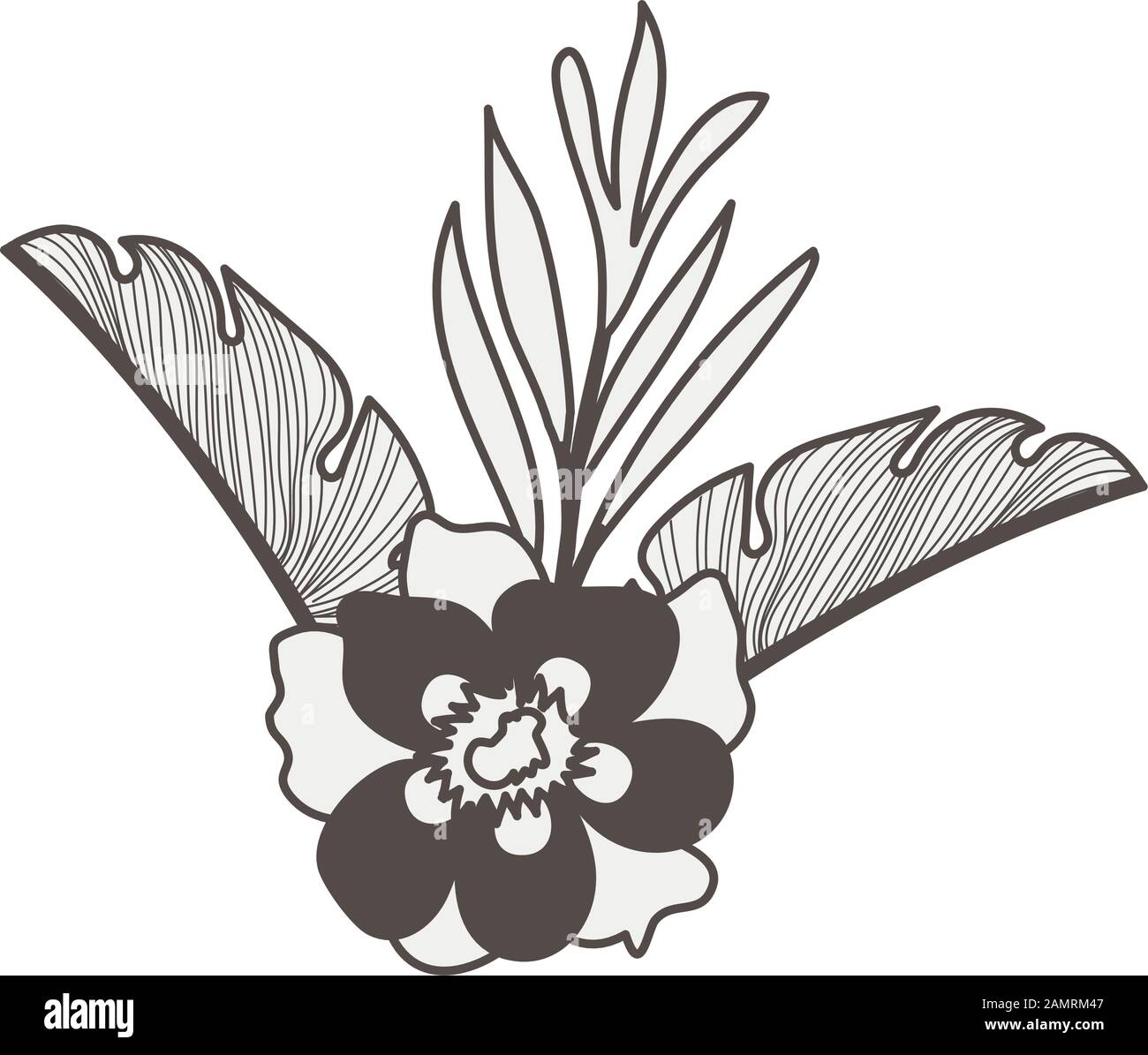 tropical heliconia and flower exotic plant Stock Vector Image & Art - Alamy