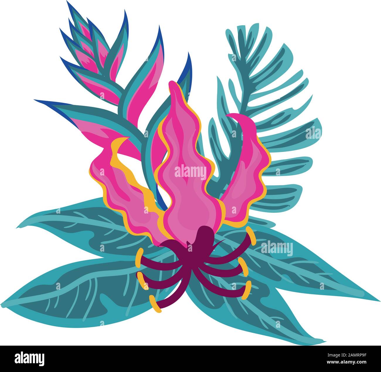 tropical heliconia and flower exotic plant Stock Vector Image & Art - Alamy