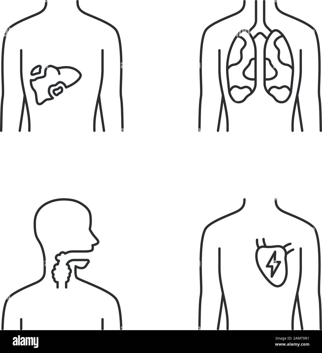 Ill human organs linear icons set. Sore liver and lungs. Aching throat ...