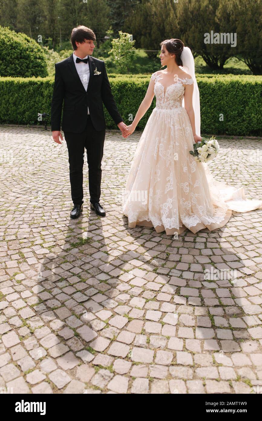 Portrait newlyweds near tree hi-res stock photography and images - Alamy