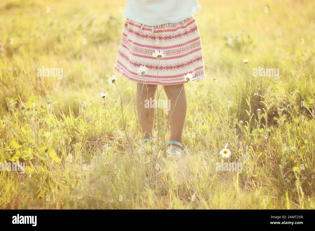 Girl standing in a meadow in the summer, United States Stock Photo - Alamy