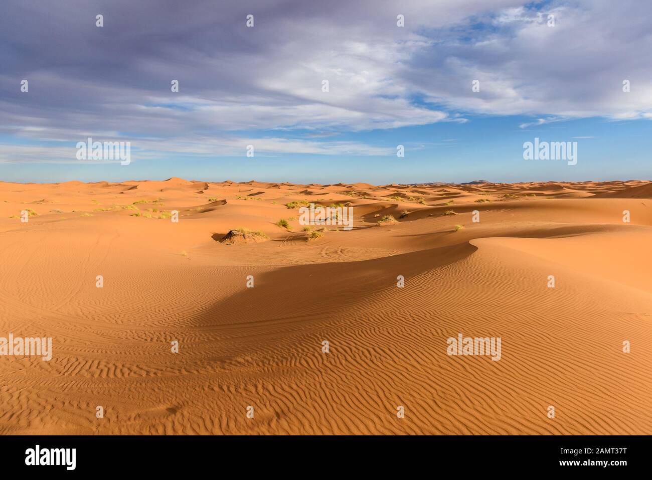 Sand dunes in the Sahara desert, Morocco Stock Photo - Alamy