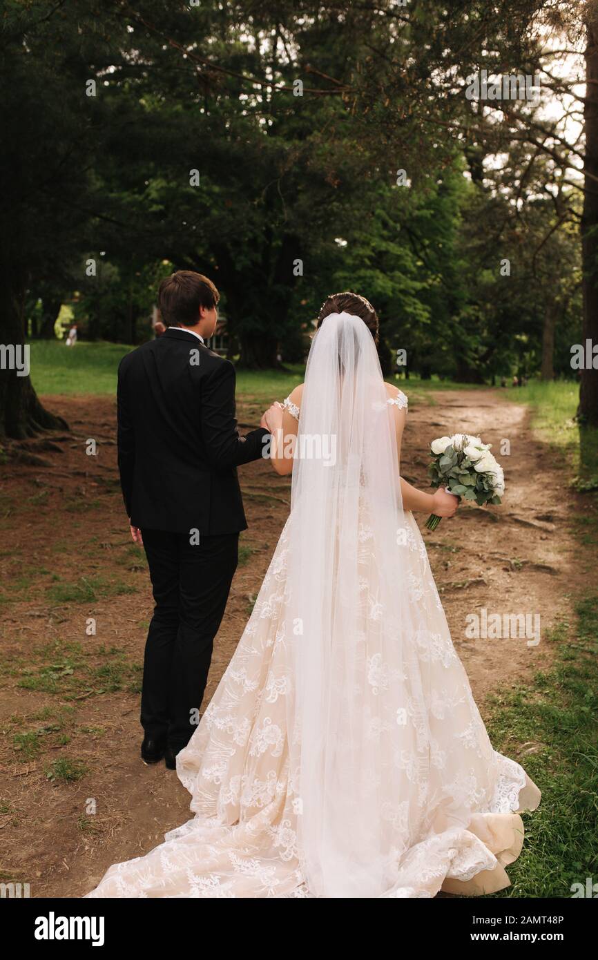 Back view of groom and bride walking in the forest Stock Photo - Alamy