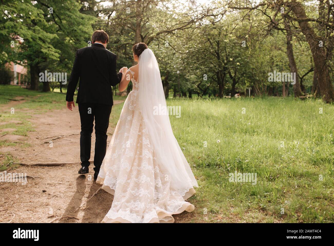 Back view of groom and bride walking in the forest Stock Photo - Alamy