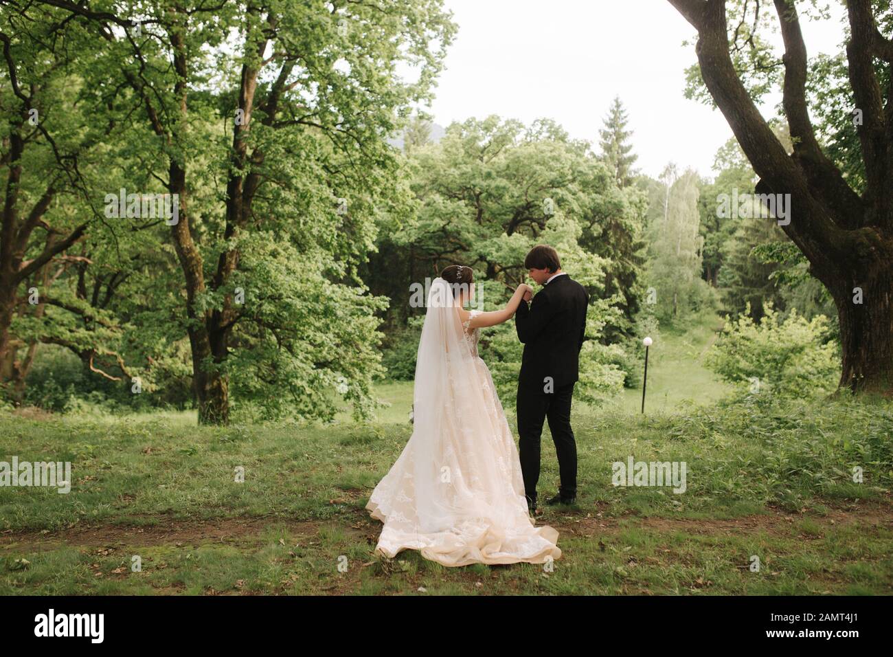 Back view of groom and bride walking in the forest Stock Photo - Alamy