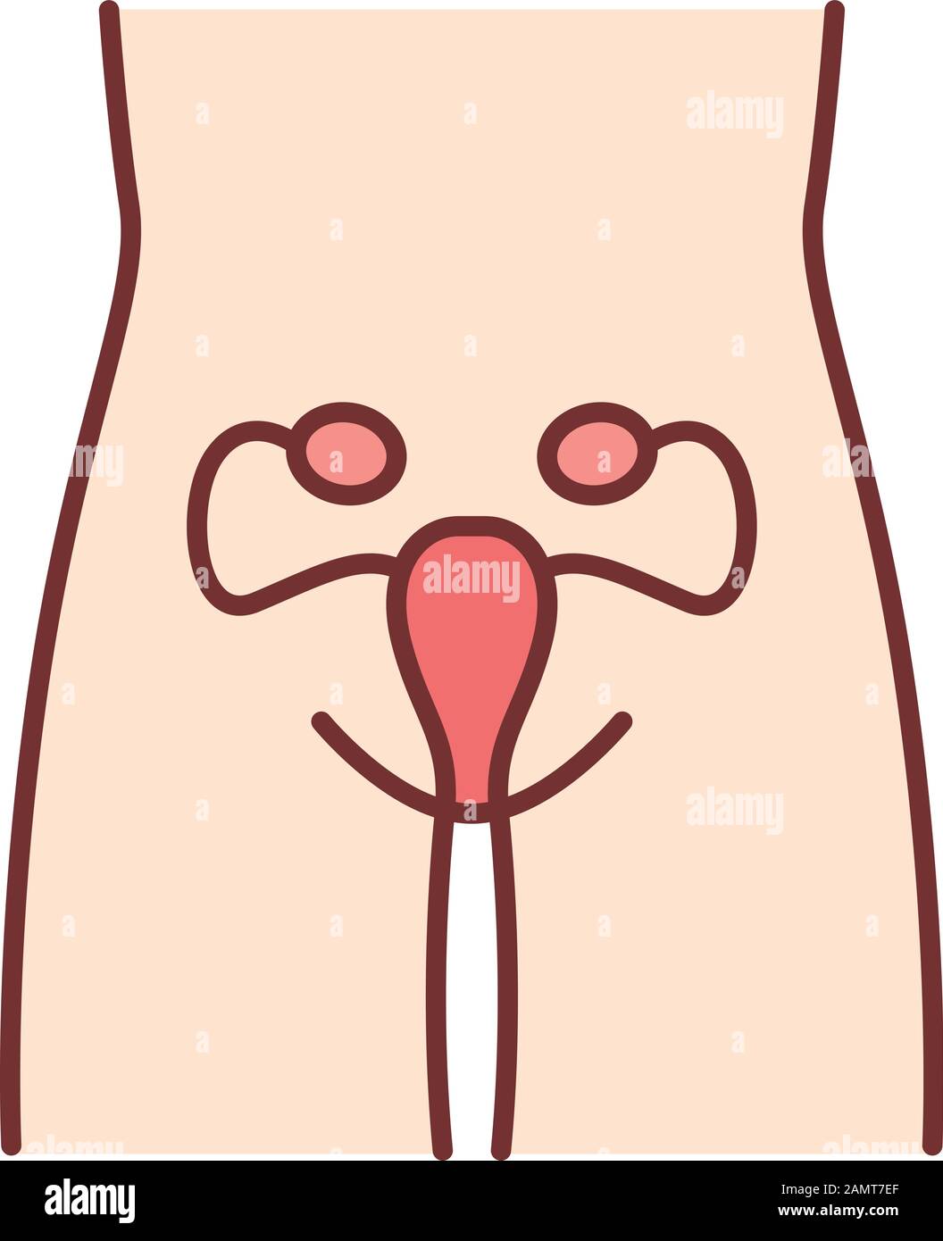Healthy women reproductive system color icon. Human organ in good ...
