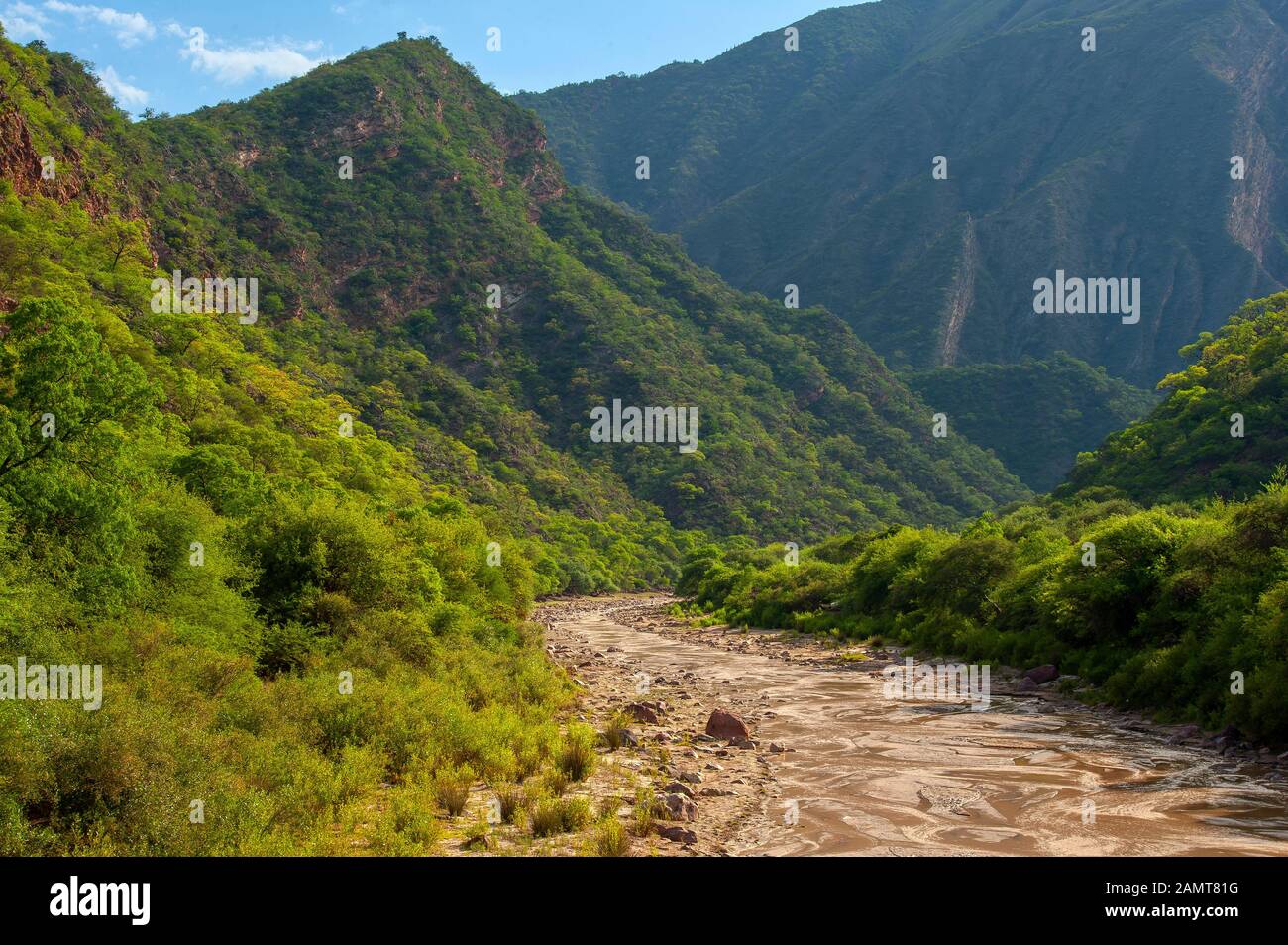 Beautiful scenery on the road from Salta to Cafayate, Las Conchas river,, green forest near Alemania, Argentina Stock Photo