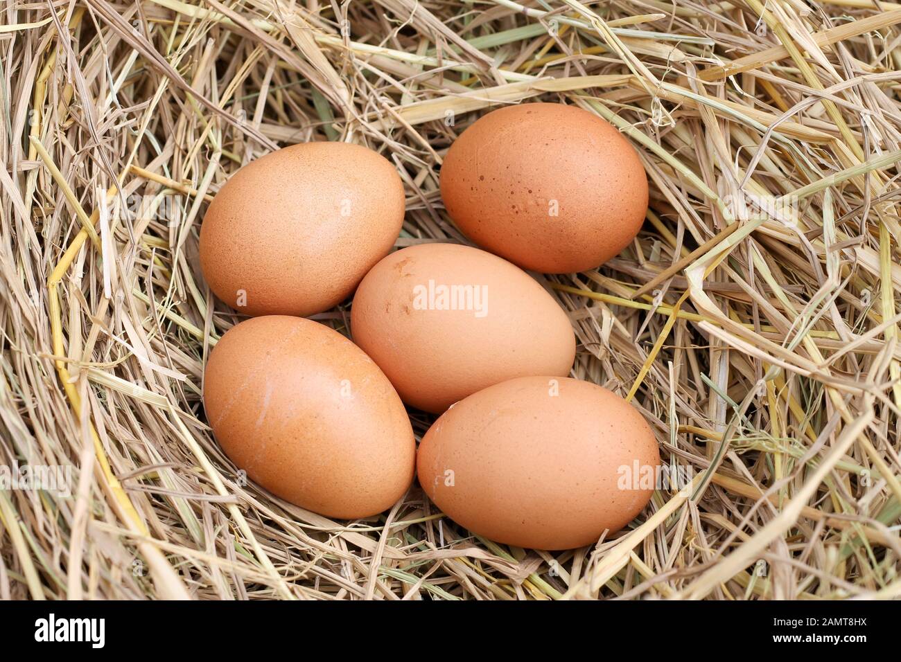 Food rich in minerals hires stock photography and images Alamy