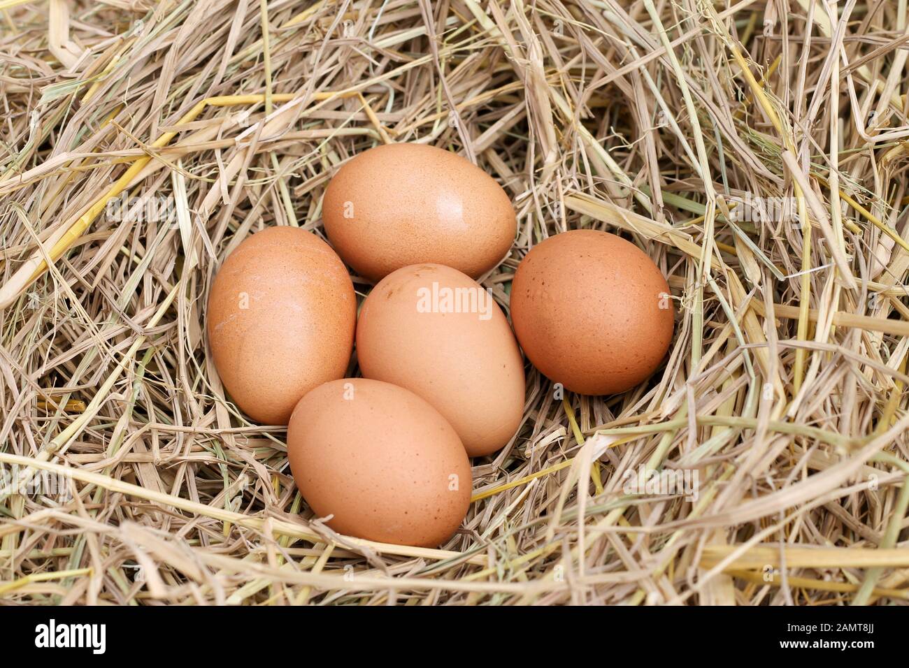 many brown eggs on rice straw.The benefits of egg are rich in vitamins
