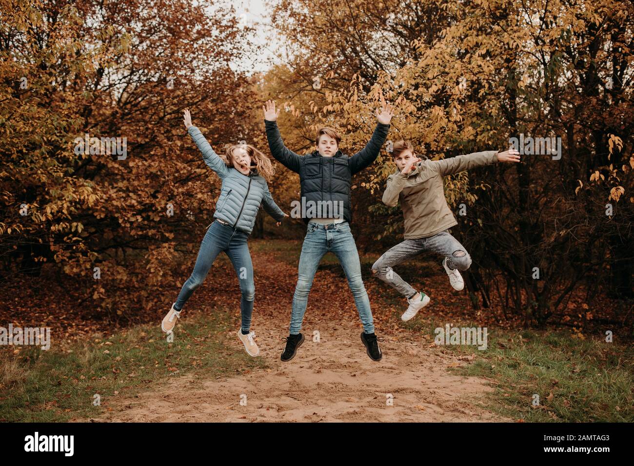 Three children in an autumn woodland jumping in the air, Netherlands Stock Photo