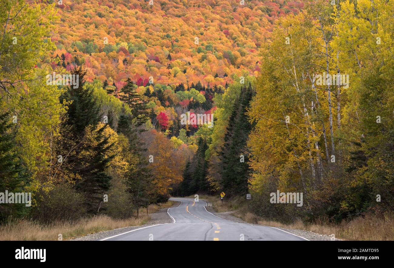 Road through autumn forest, Oquossoc, Franklin County, Maine, USA Stock Photo