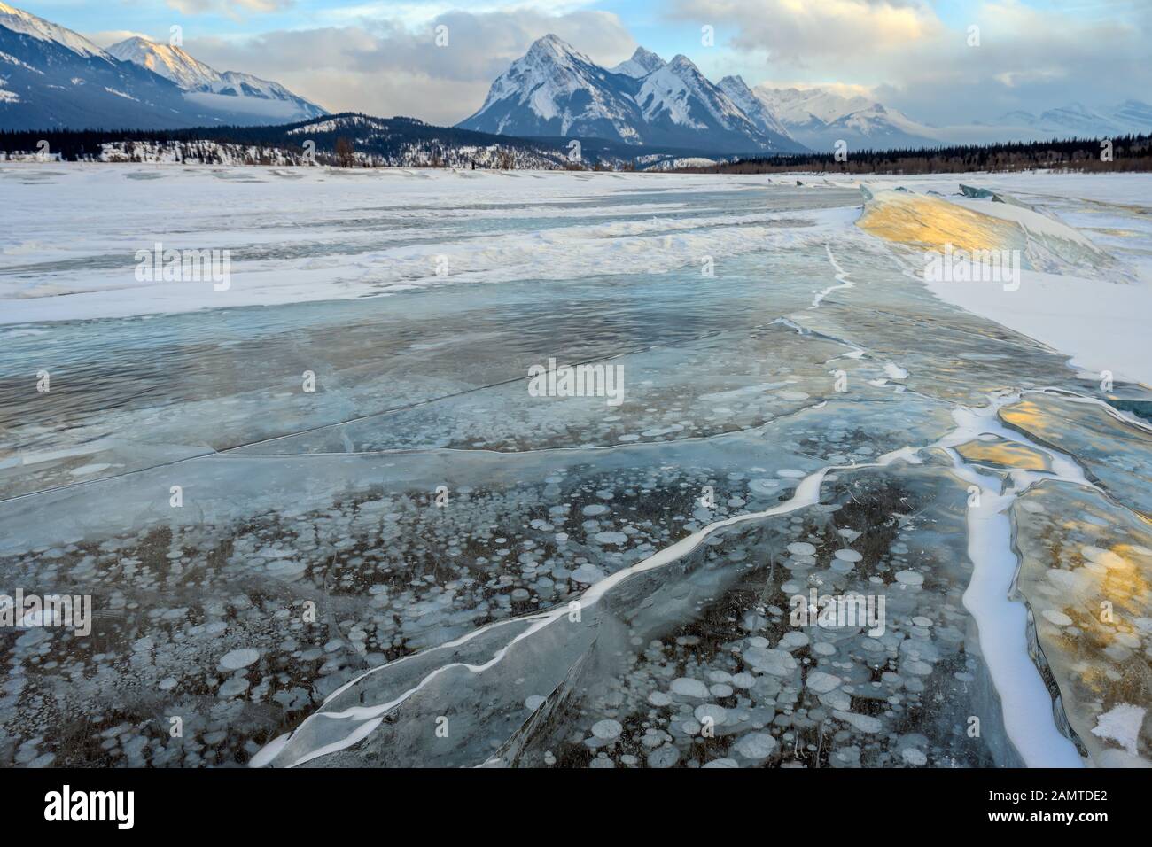 Trapped methane bubbles frozen into the water under the thick cracked and folded ice on Abraham Lake Stock Photo
