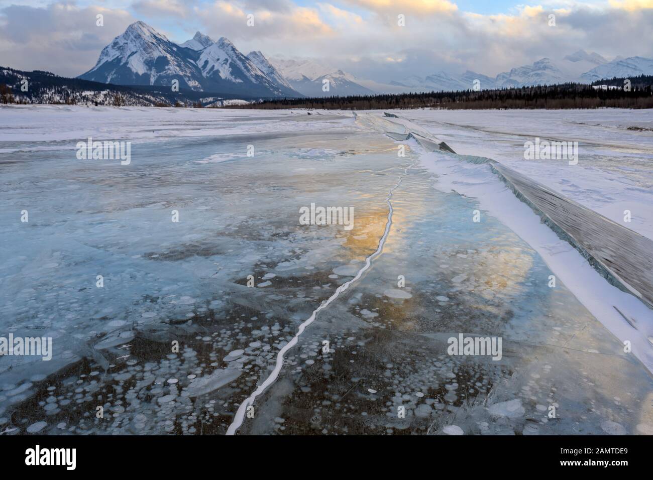 Trapped methane bubbles frozen into the water under the thick cracked and folded ice on Abraham Lake Stock Photo