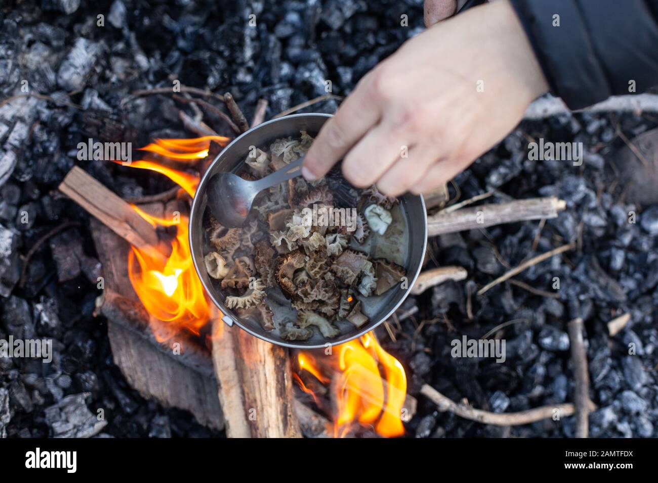 Woman Cooking wild mushrooms over a campfire Stock Photo